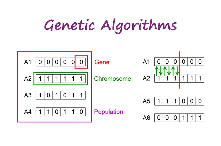 الگوریتم ژنتیک Genetic Algorithms چیست